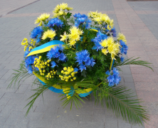 izimbali-zezimbali 40 uhlu